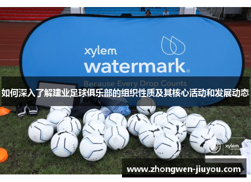 如何深入了解建业足球俱乐部的组织性质及其核心活动和发展动态